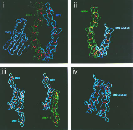 FIG. 7.