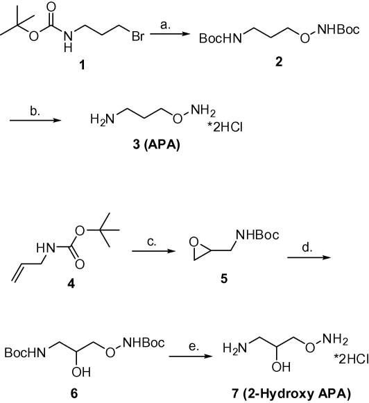 Scheme 2