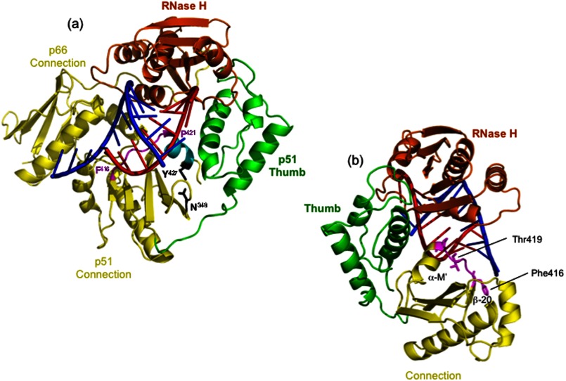 FIGURE 1.