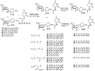 Scheme 5