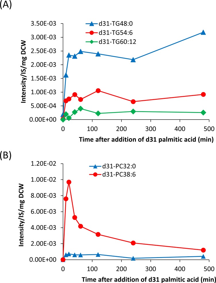 Fig 6