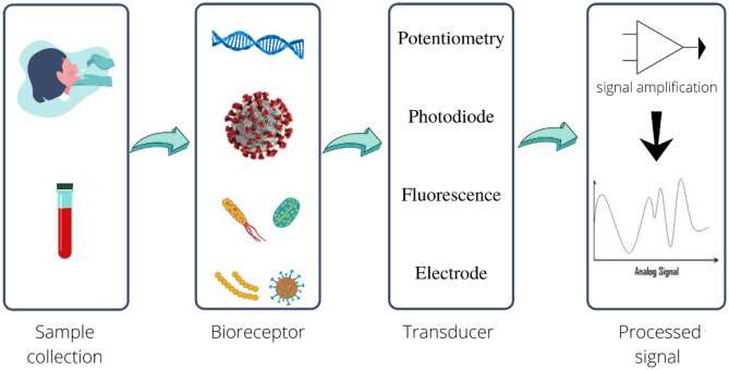 Fig. 10