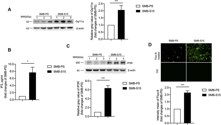 FIGURE 3