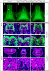 Fig. 4.