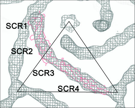 FIG. 3.