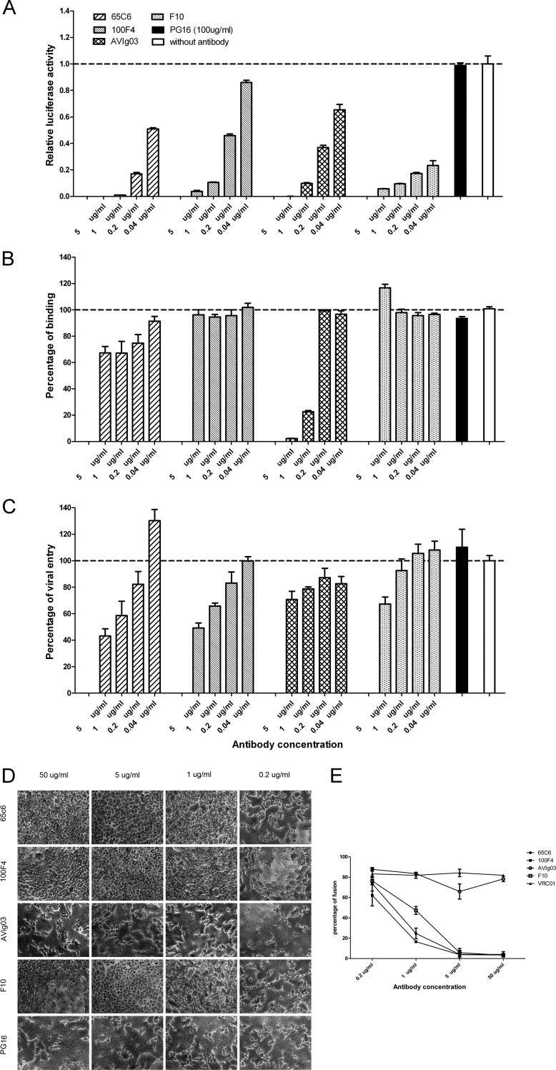 Fig 3