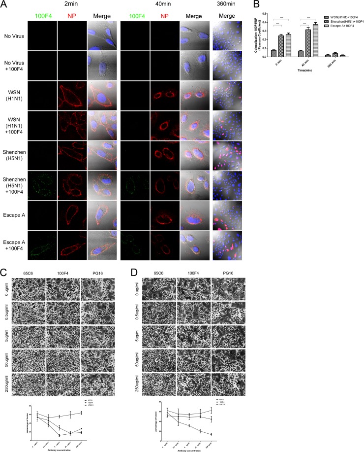 Fig 4