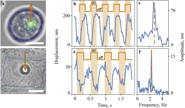 Fig. 4.