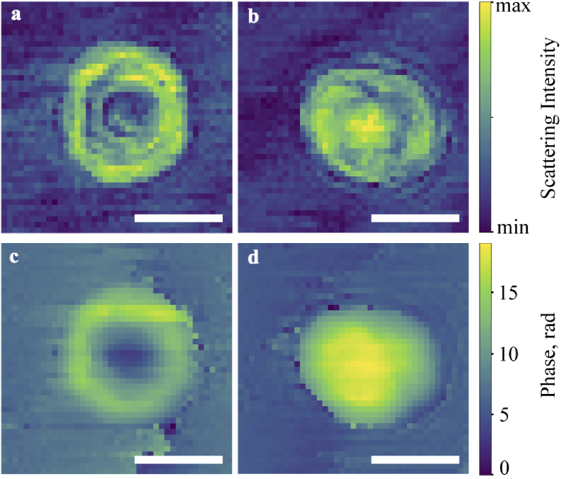 Fig. 2.