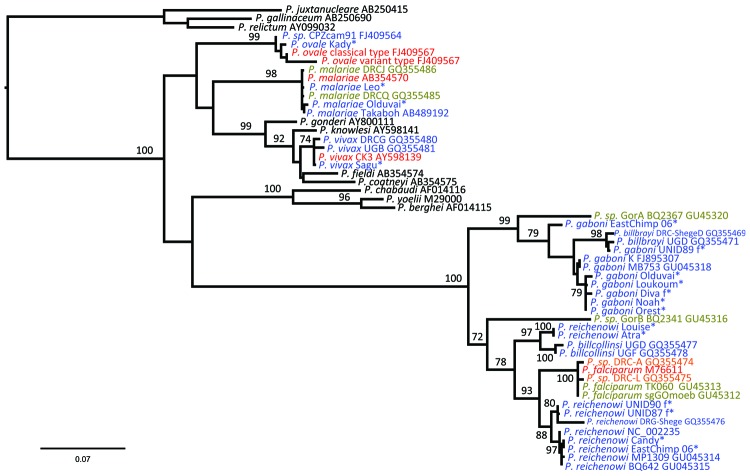 Figure 1