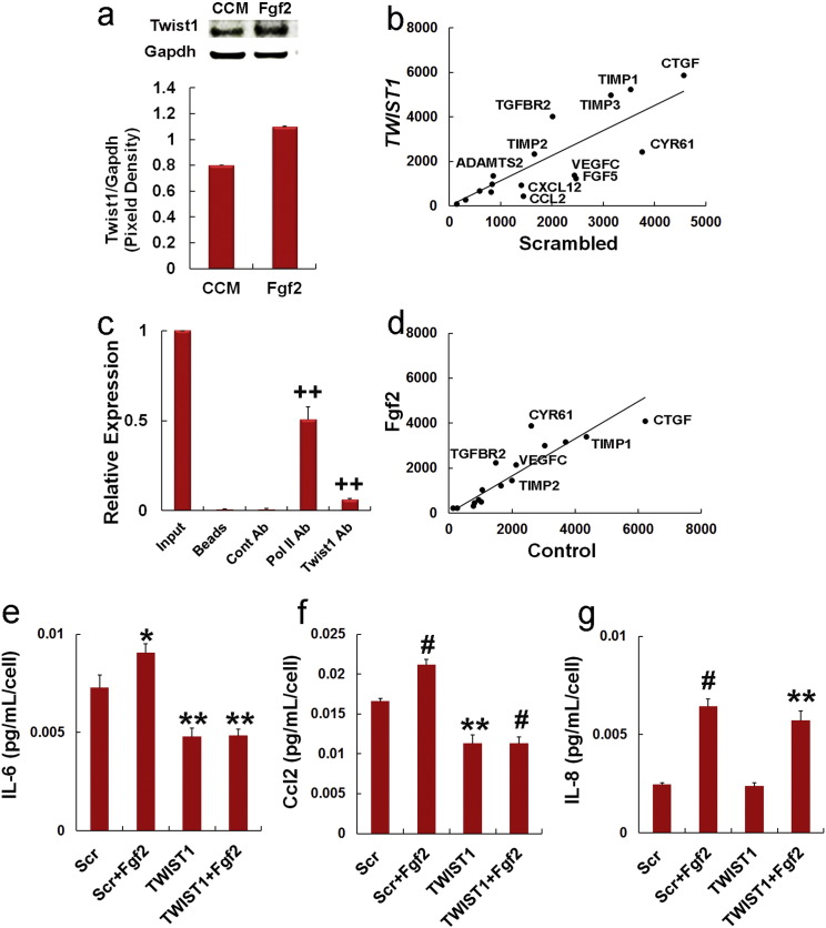 Supplementary Fig. S4