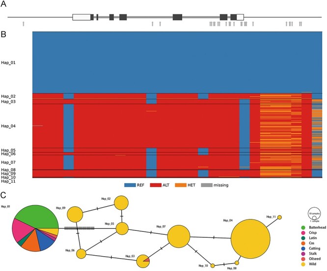 Figure 12.