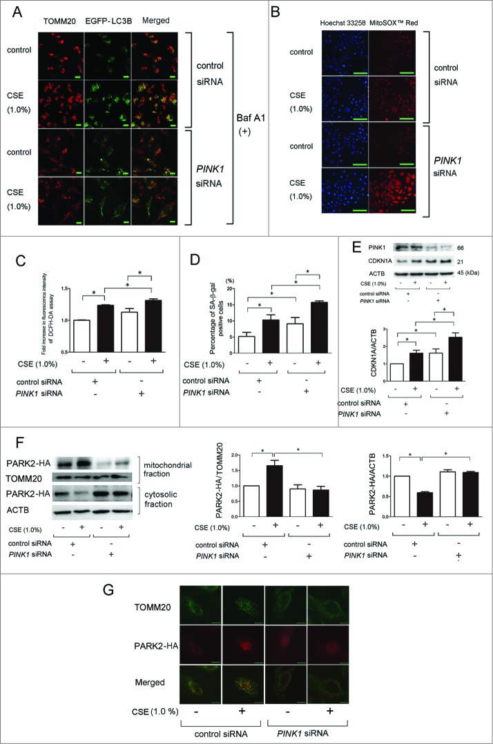 Figure 3 (See previous page).