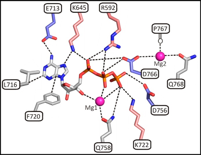 FIGURE 4.