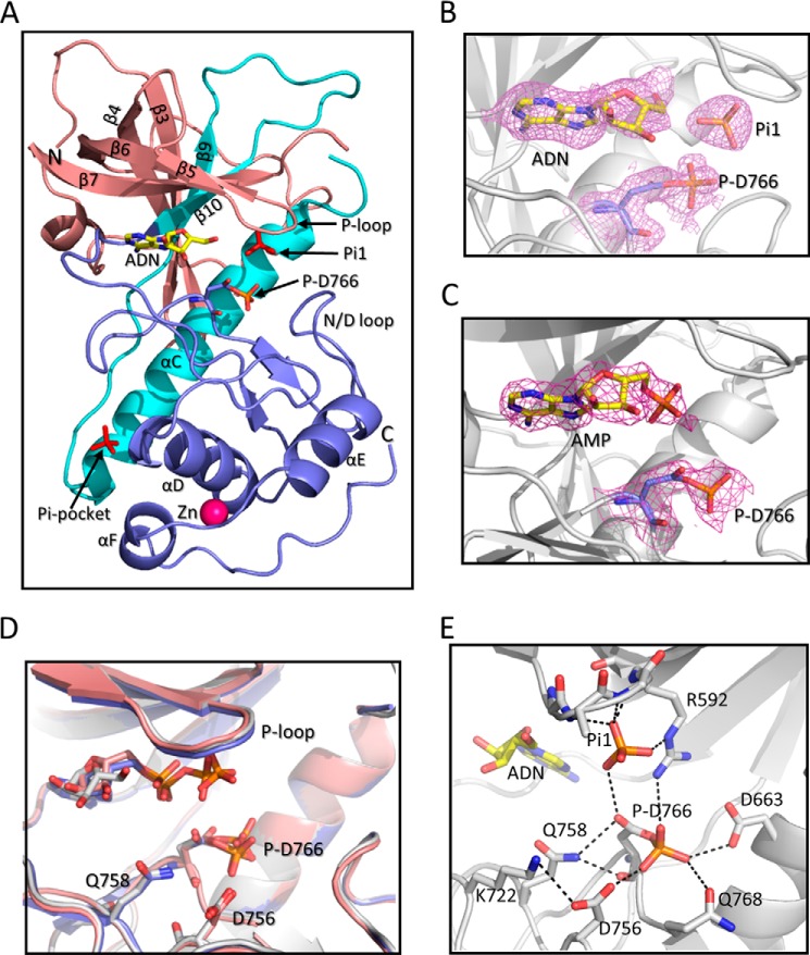 FIGURE 1.