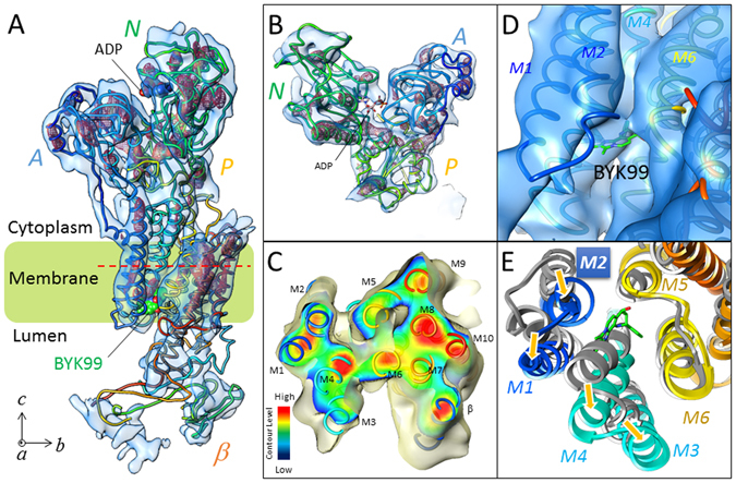 Figure 2