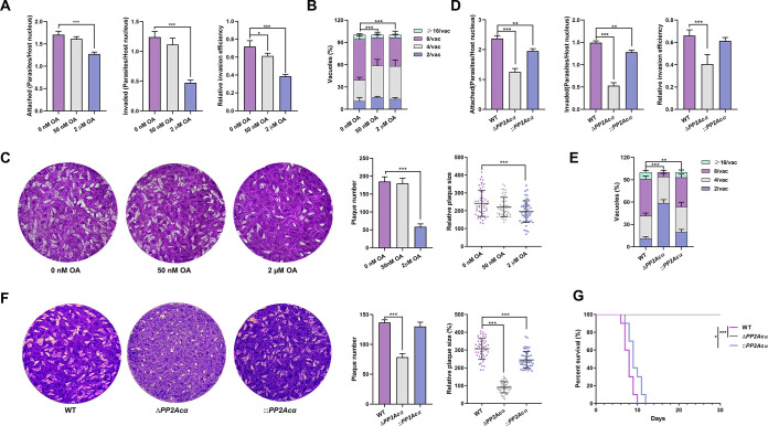 FIG 3