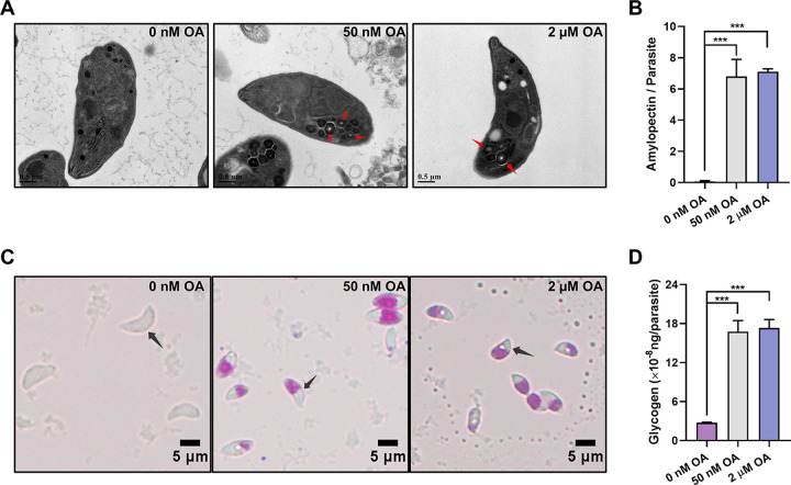 FIG 1