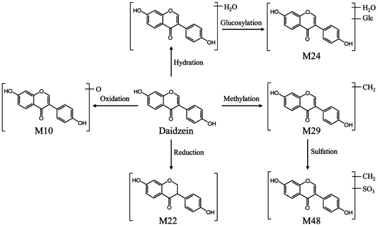 Fig. 9