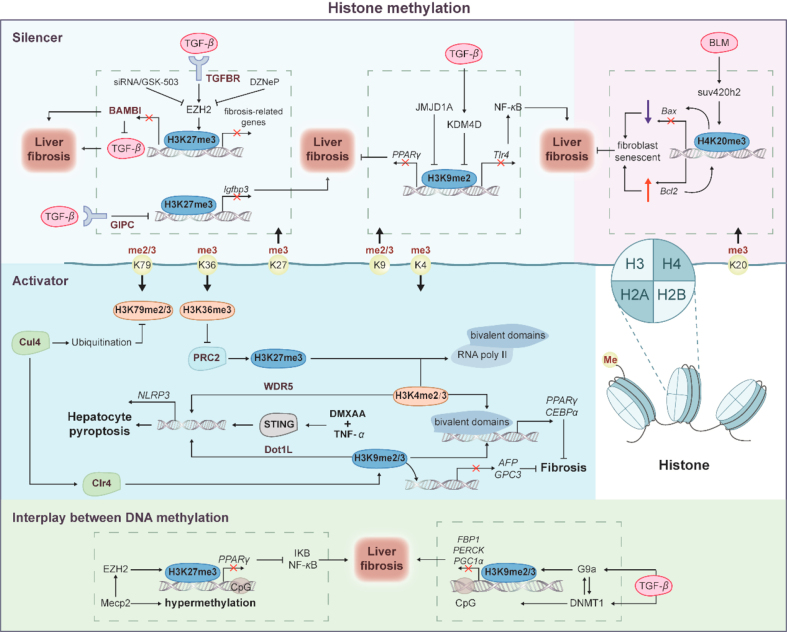 Figure 3