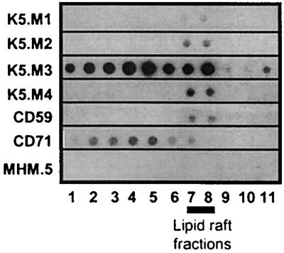 FIG. 5