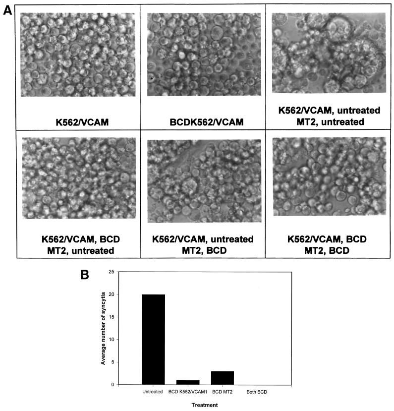 FIG. 6