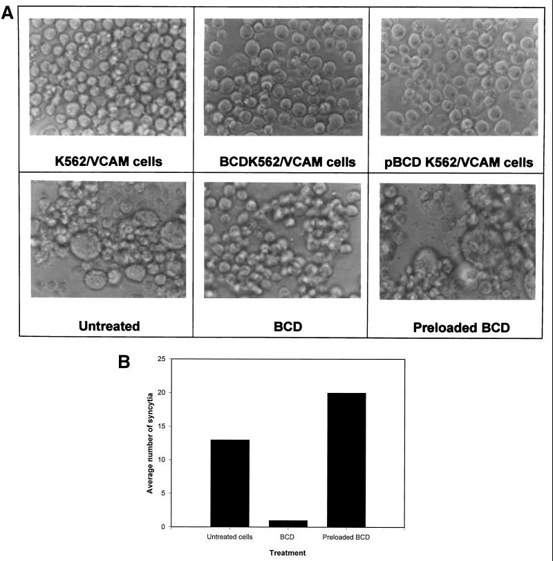 FIG. 7