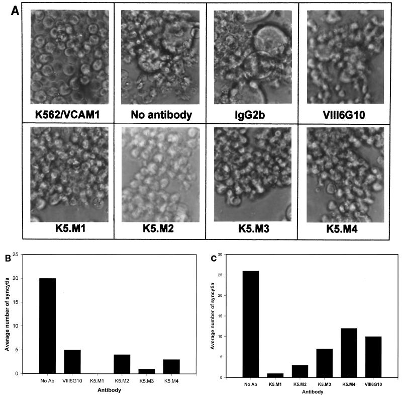 FIG. 1