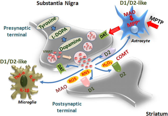 FIGURE 3