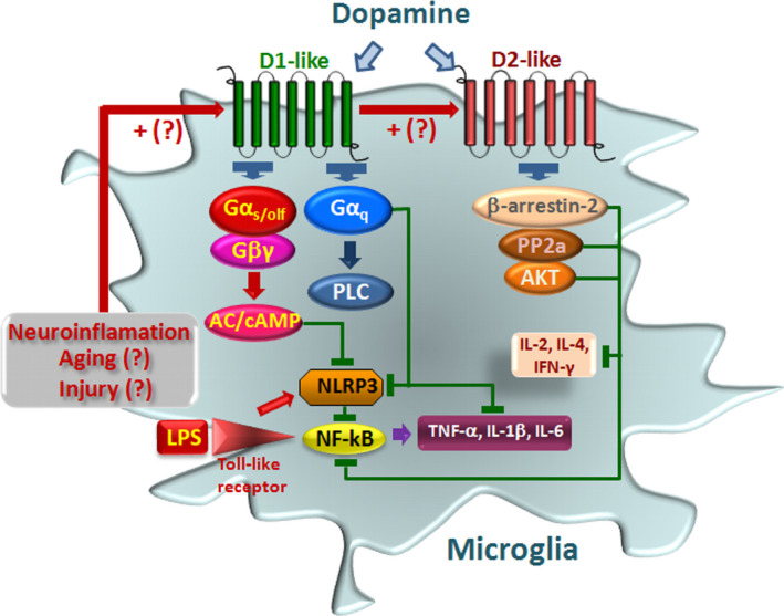 FIGURE 4