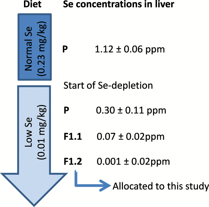 Figure. 1.