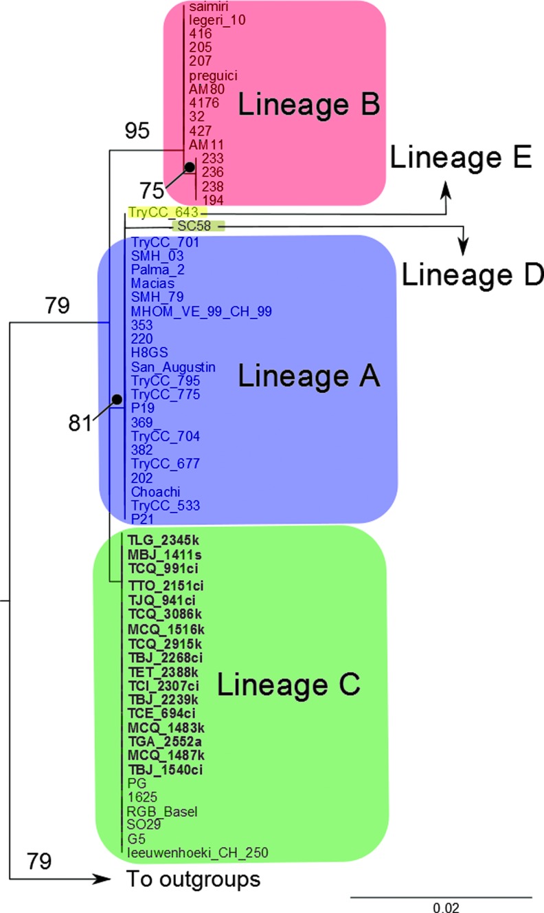 FIG. 3.