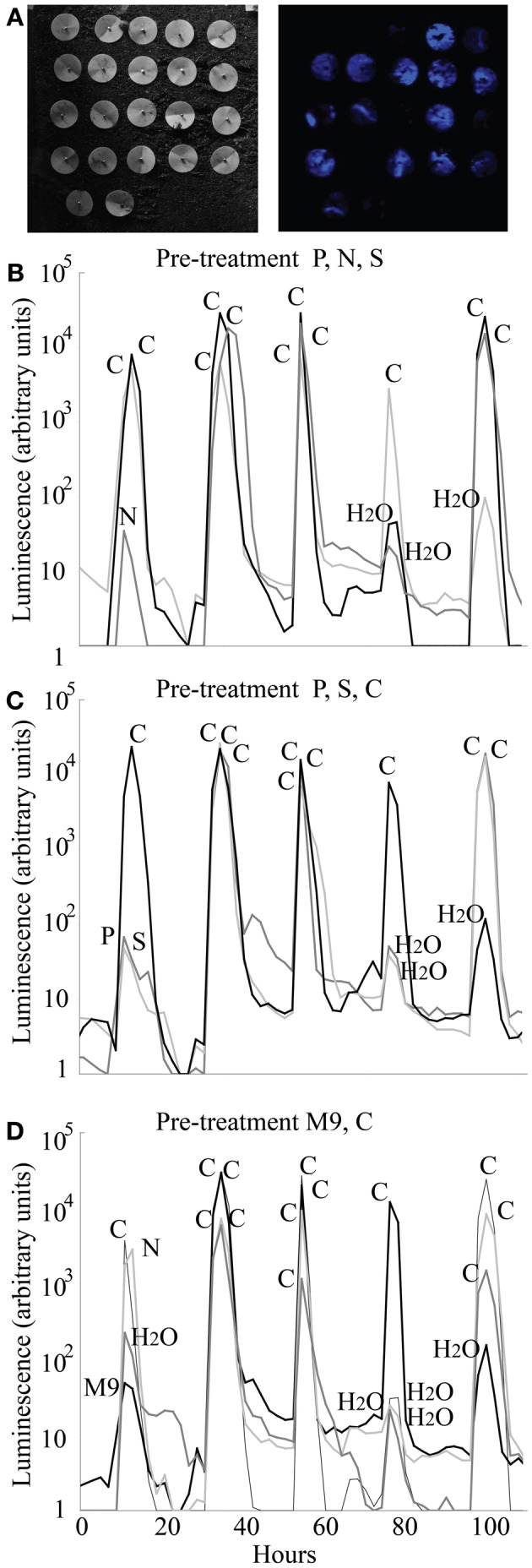 Figure 7