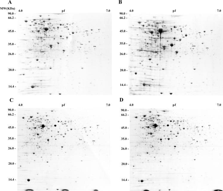 Fig 2