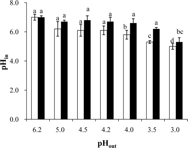 Fig 5