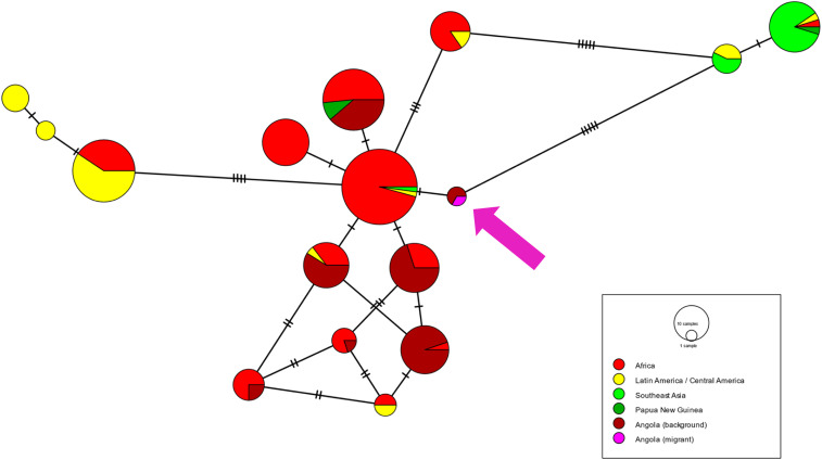 Figure 4.