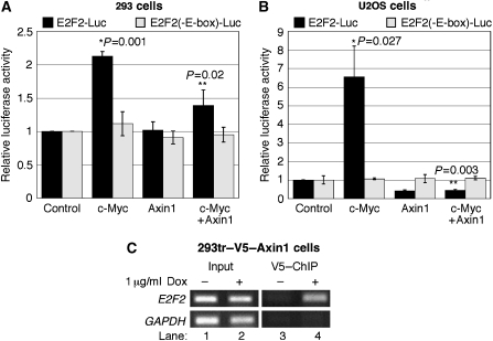 Figure 4