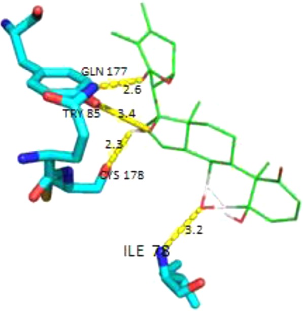 Figure 6