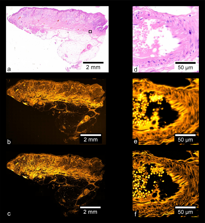 Figure 10: