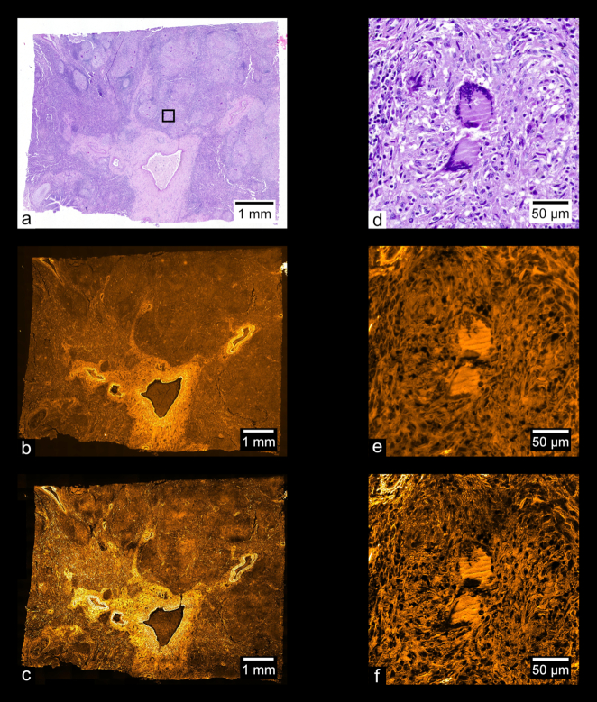 Figure 13: