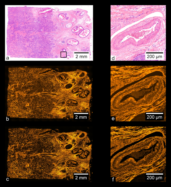 Figure 12: