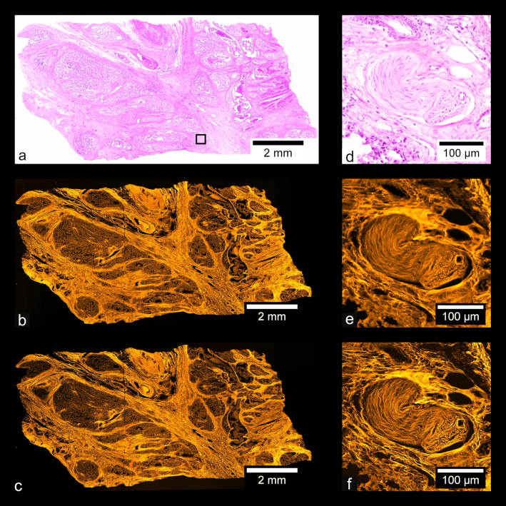 Figure 9: