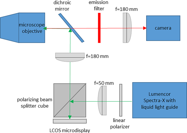 Figure 1: