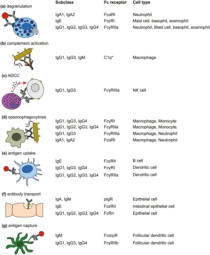 Figure 2: