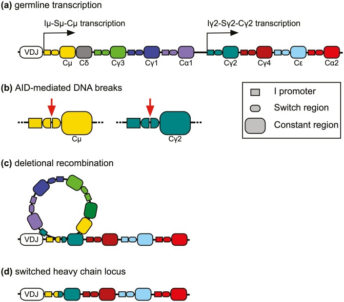 Figure 3: