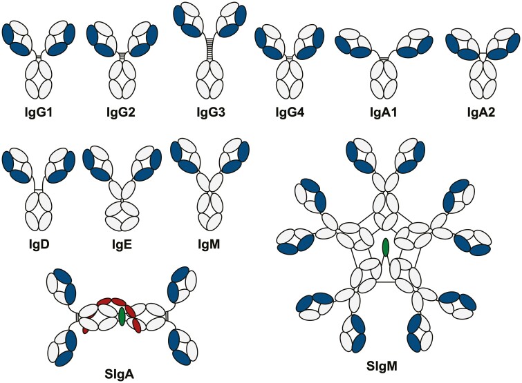 Figure 1: