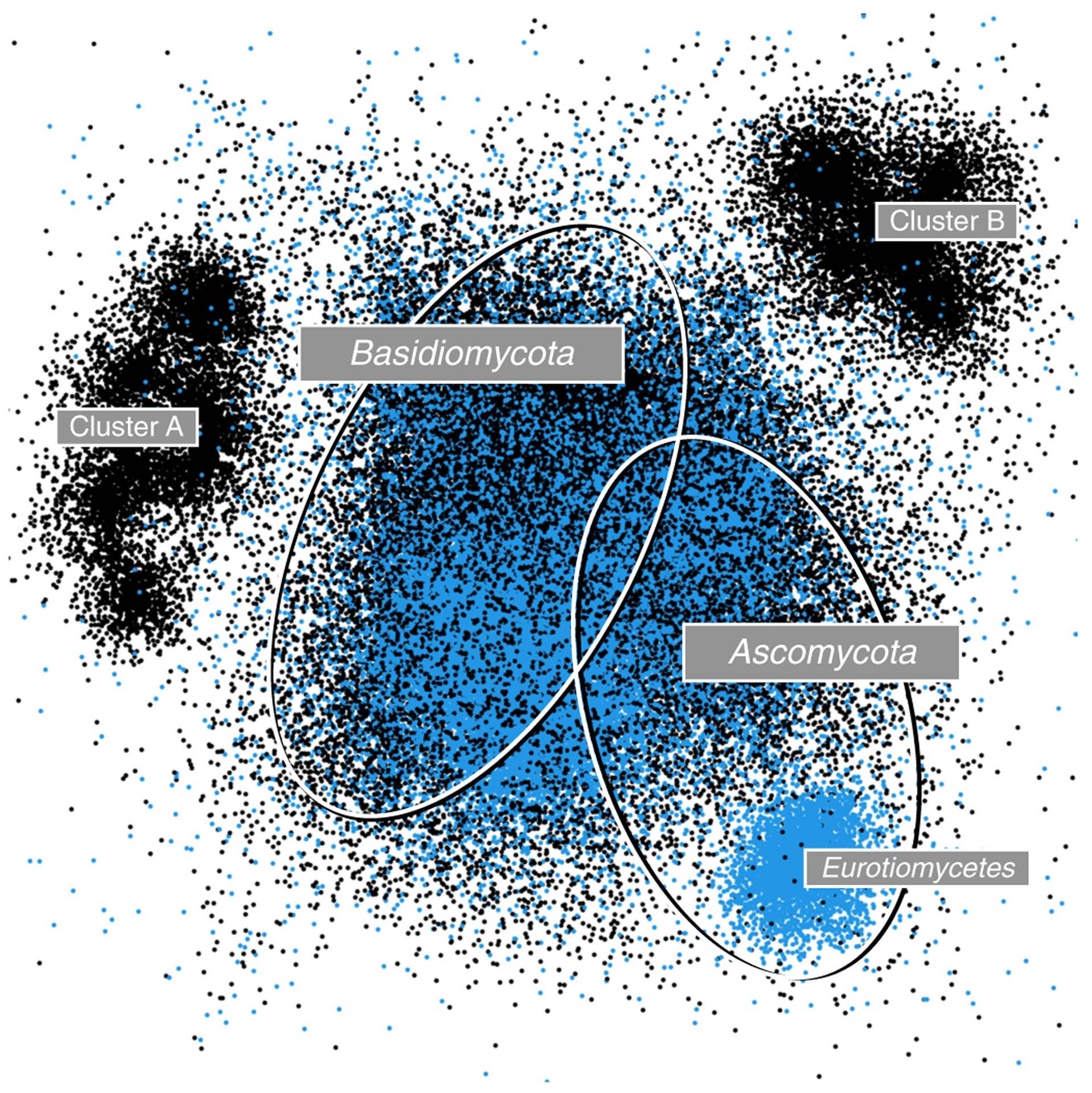 Fig. 3 |