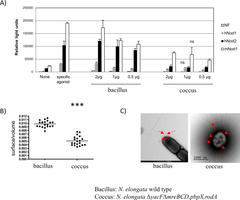 Fig 10