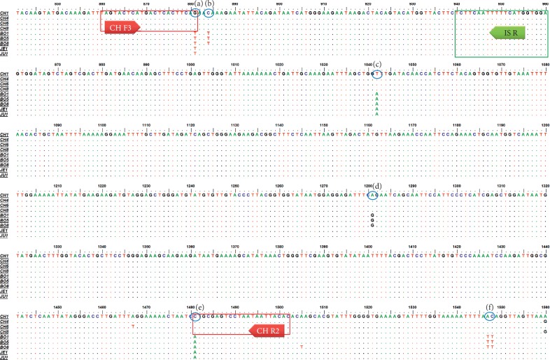 Figure 1