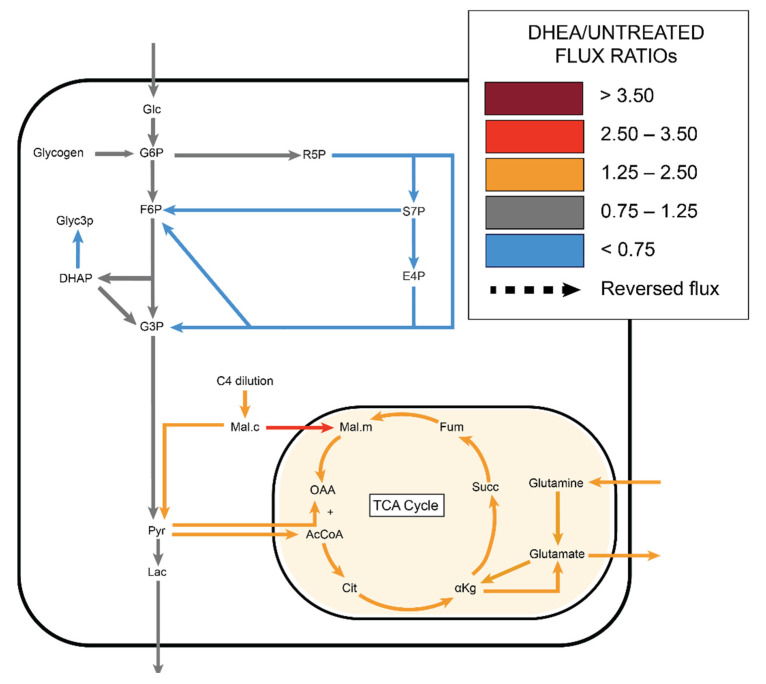 Figure 7